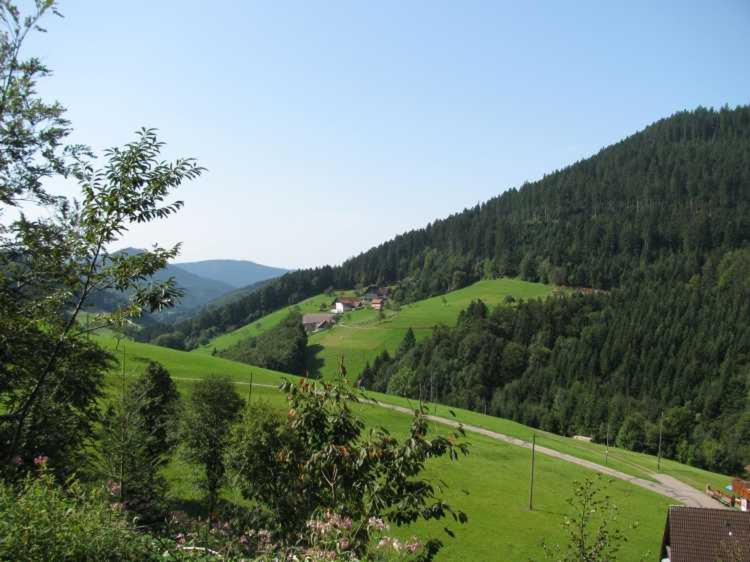Gaestehaus Gerda Bad Peterstal-Griesbach Exterior photo